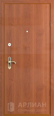 Фото «Стандартная входная дверь с ламинатом и уплотнителем №34»